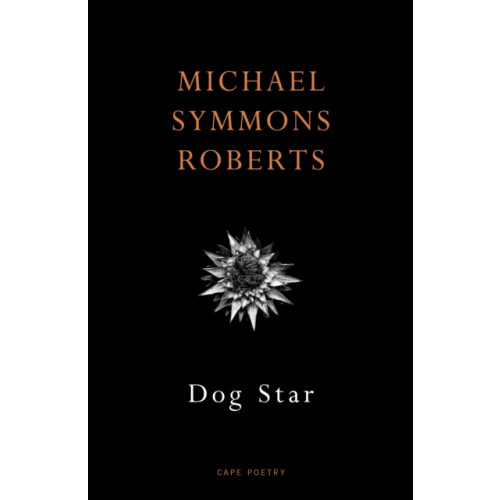 Vintage Publishing Dog Star (häftad, eng)