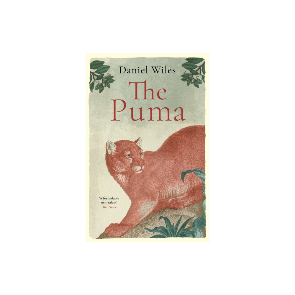 Produktbild för The Puma (inbunden, eng)