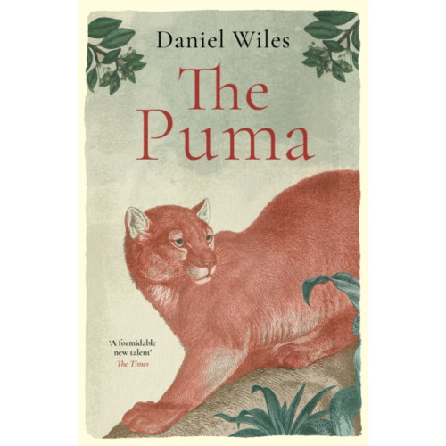 Swift Press The Puma (inbunden, eng)