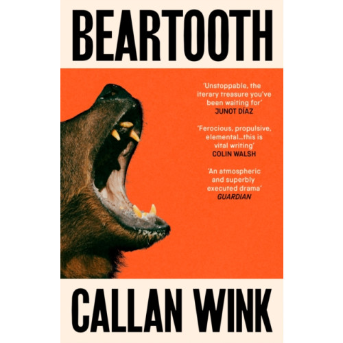 Granta Books Beartooth (häftad, eng)