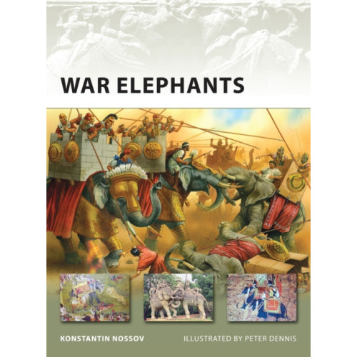 Bloomsbury Publishing PLC War Elephants (häftad, eng)