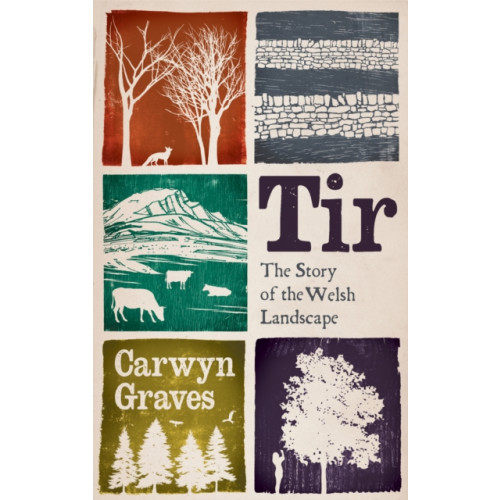 University of wales press Tir (häftad, eng)