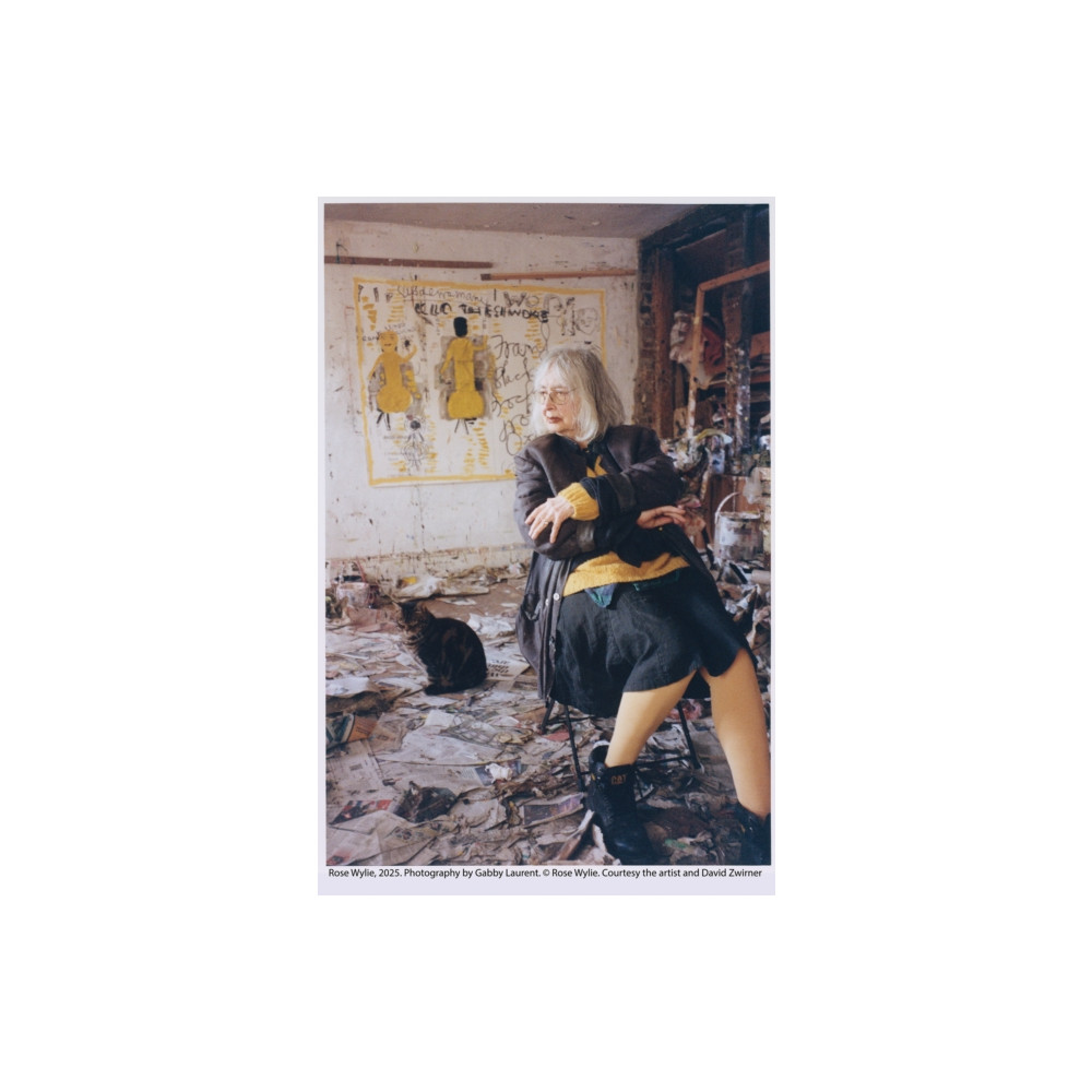 Produktbild för Rose Wylie (inbunden, eng)