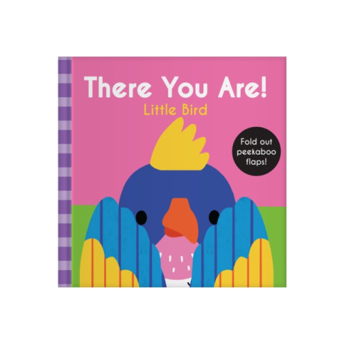 Five Mile There You Are: Little Bird (bok, board book, eng)