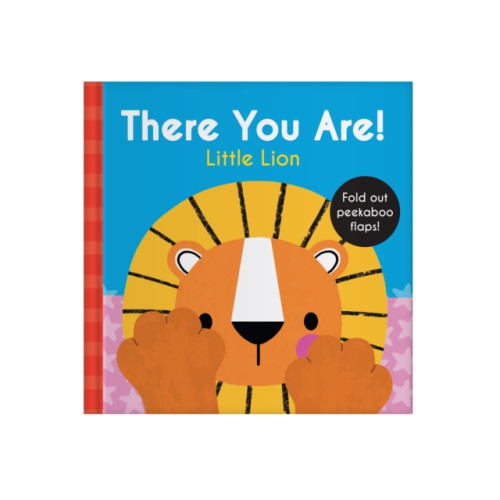 Five Mile There You Are: Little Lion (bok, board book, eng)