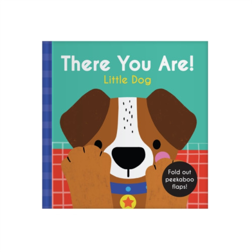 Five Mile There You Are: Little Dog (bok, board book, eng)