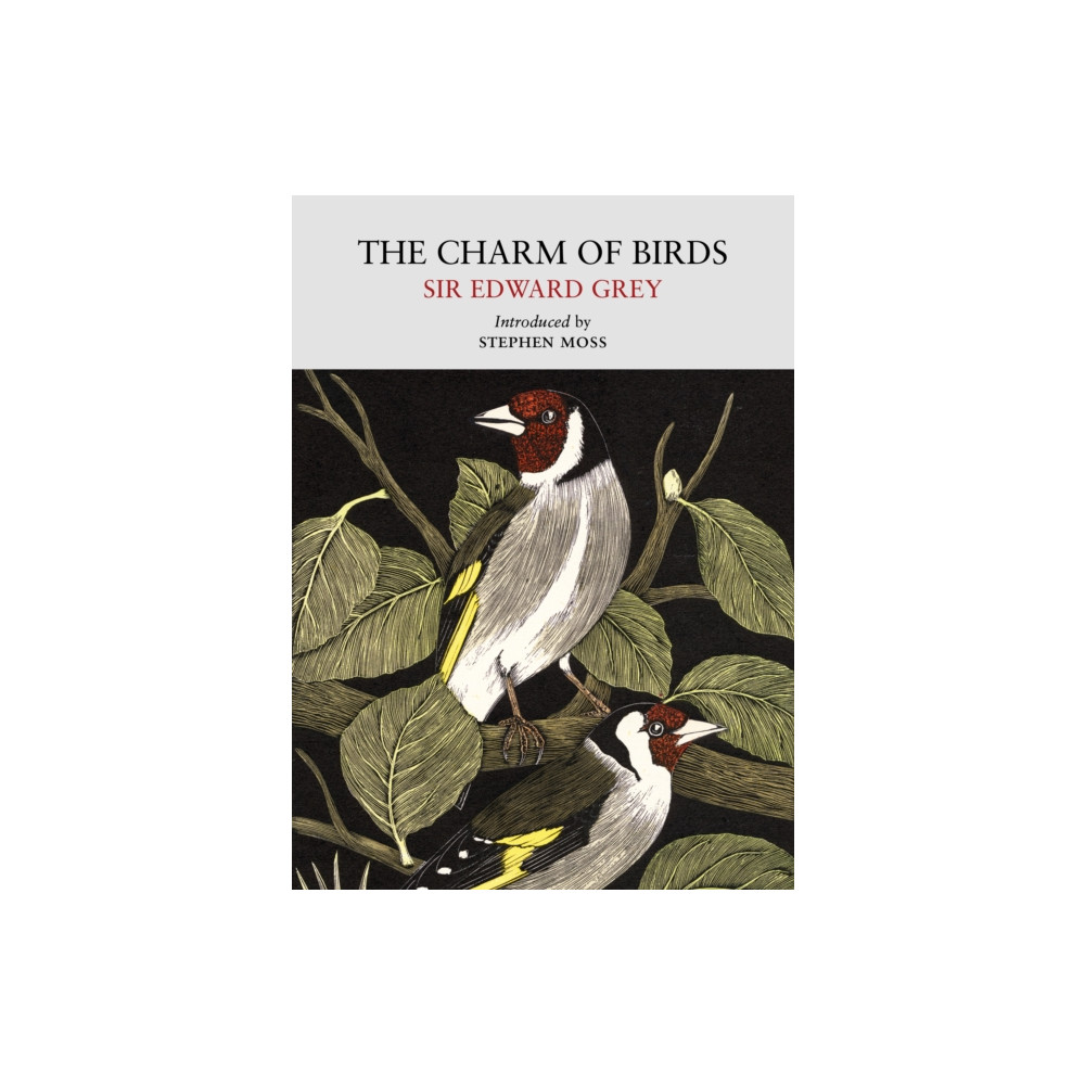 Produktbild för The Charm of Birds (häftad, eng)