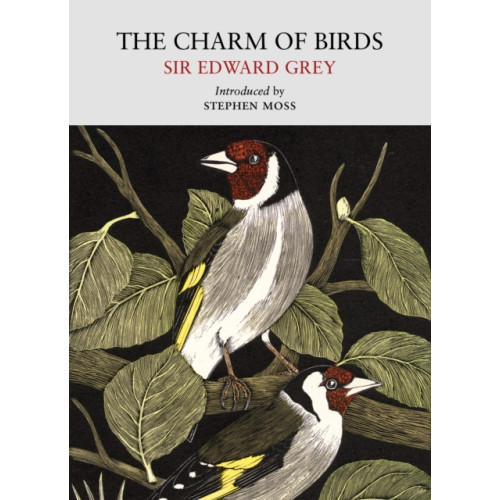 Little Toller Books The Charm of Birds (häftad, eng)