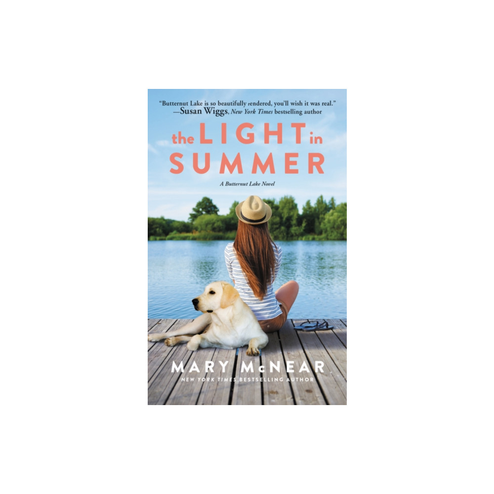 Produktbild för The Light in Summer (häftad, eng)