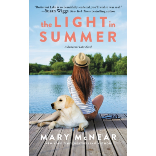 Harpercollins publishers inc The Light in Summer (häftad, eng)