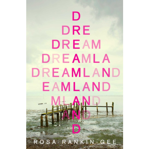 Simon & Schuster Ltd Dreamland (häftad, eng)