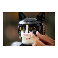 Produktbild för LEGO Ideas 21349 - Frackkatt - byggsats