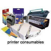 Produktbild för Epson Premium - fotopapper - blank - 1 rulle (rullar) - Rulle (111,8 cm x 30,5 m) - 260 g/m²