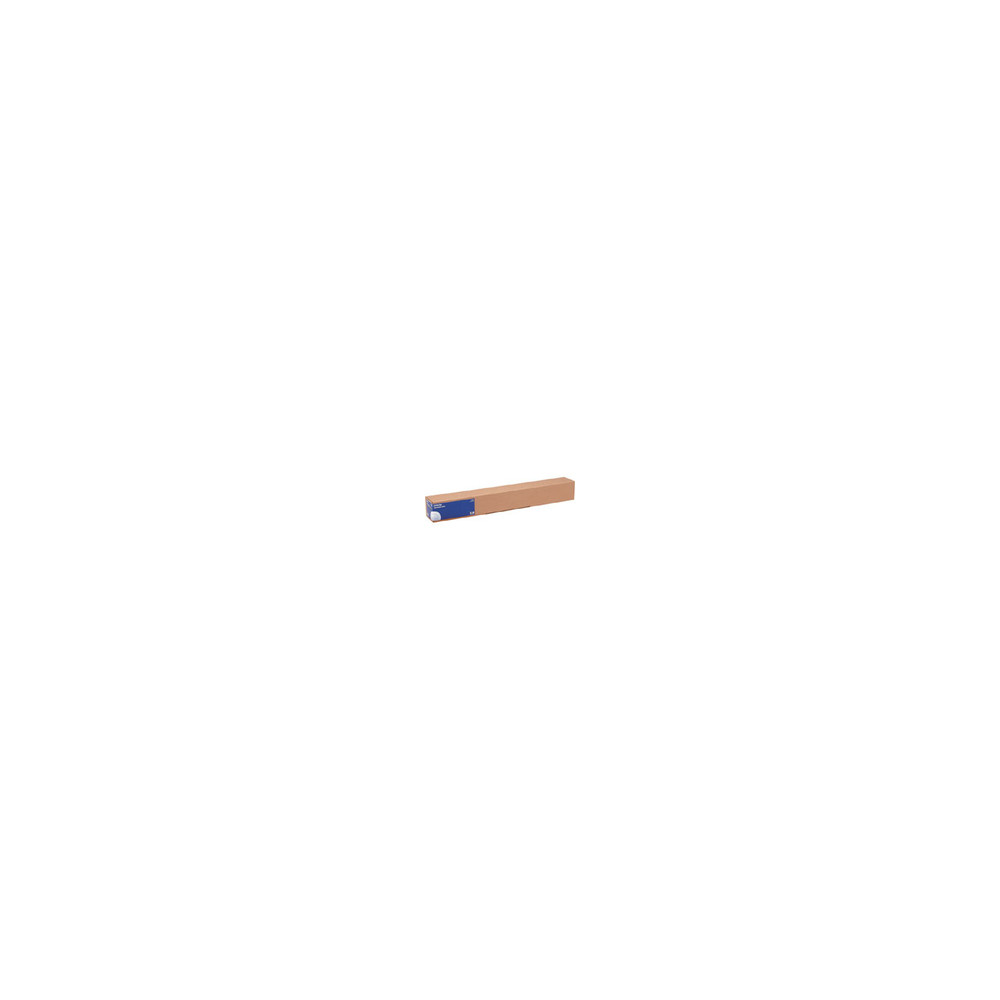 Produktbild för Epson - fotopapper - blank - 1 rulle (rullar) - Rulle (60 cm x 30,5 m) - 250 g/m²
