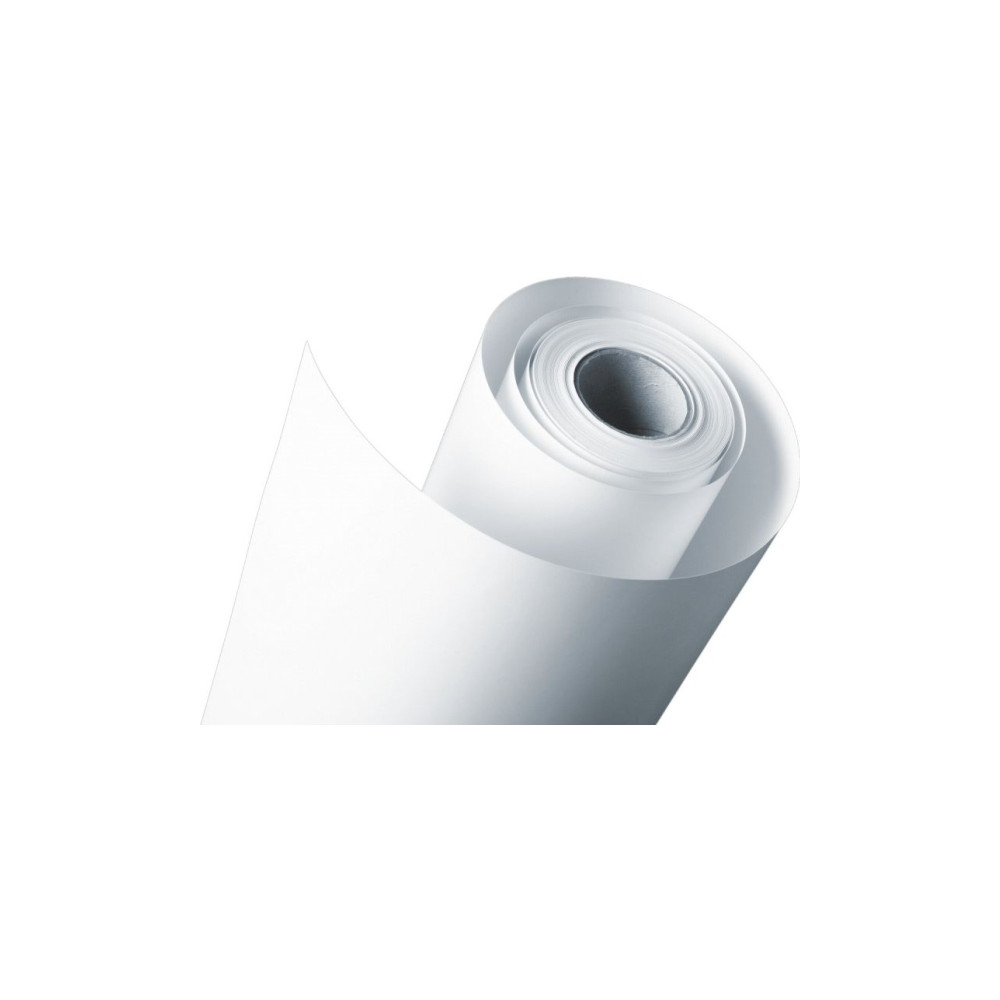 Produktbild för Epson - fotopapper - blank - 1 rulle (rullar) - Rulle (60 cm x 30,5 m) - 250 g/m²