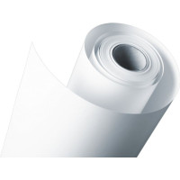 Produktbild för Epson - fotopapper - blank - 1 rulle (rullar) - Rulle (60 cm x 30,5 m) - 250 g/m²