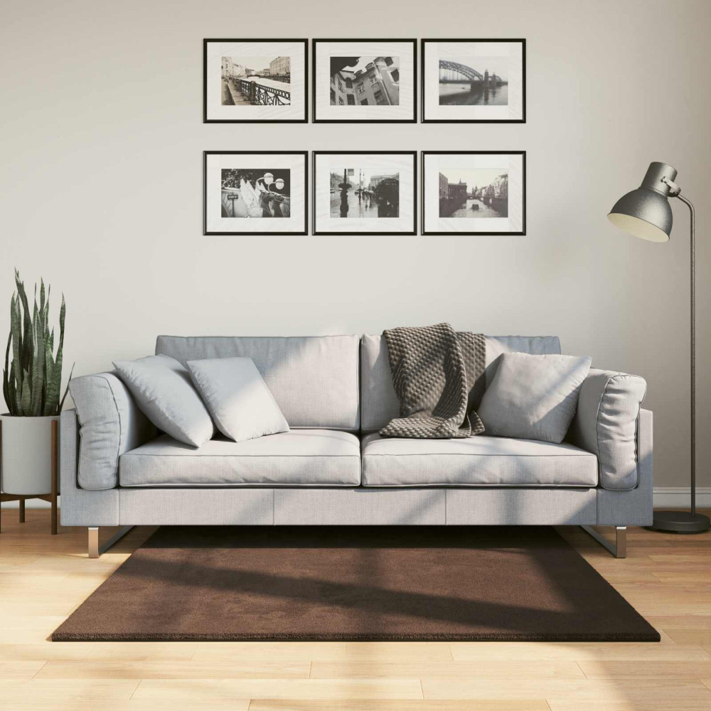 Produktbild för Mellanhög mjuk och tvättbar matta HUARTE Brun 120 x 120 cm