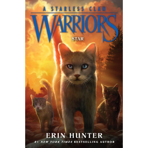 Harpercollins publishers inc Warriors: A Starless Clan #6: Star (häftad, eng)