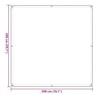 Produktbild för Växtskydd Transparent 2 x 2 m PE