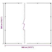 Produktbild för Växtskydd Transparent 3 x 4 m PE