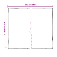 Produktbild för Växtskydd Transparent 4 x 8 m PE