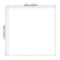 Produktbild för Växtskydd Transparent 6 x 6 m PE