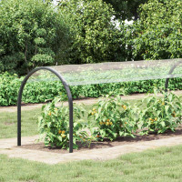 Produktbild för Växtskydd Transparent 1 x 12 m PVC