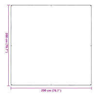 Produktbild för Växtskydd Transparent 2 x 2 m PVC