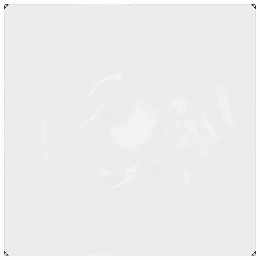 Produktbild för Växtskydd Transparent 2 x 2 m PVC
