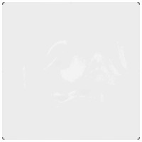 Produktbild för Växtskydd Transparent 2 x 2 m PVC