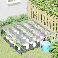 Produktbild för Växtskydd Transparent 2 x 2 m PVC