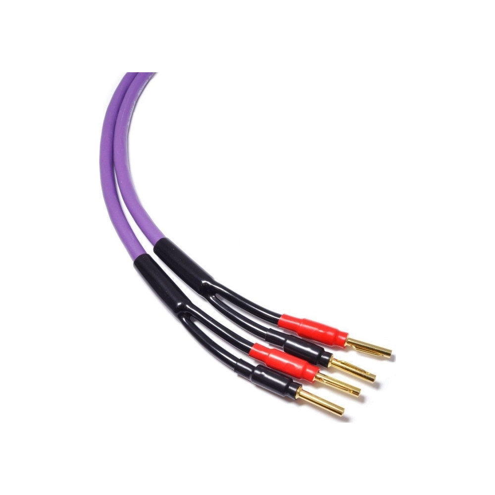Produktbild för Kabel Melodika Banan x2