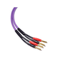 Produktbild för Kabel Melodika Banan x2