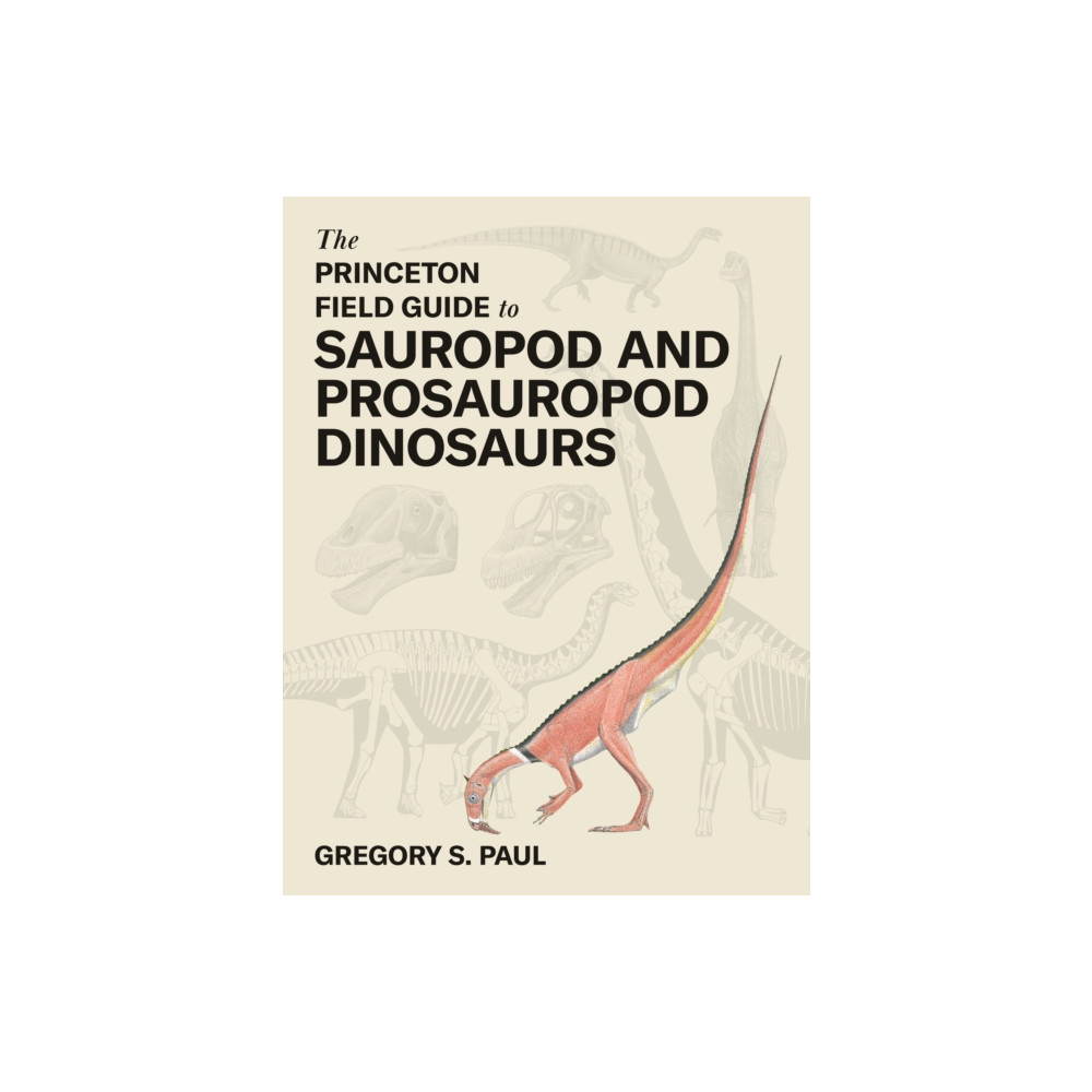 Produktbild för The Princeton Field Guide to Sauropod and Prosauropod Dinosaurs (inbunden, eng)