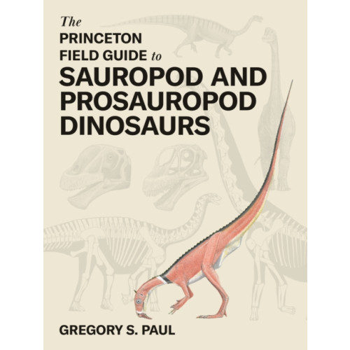 Princeton University Press The Princeton Field Guide to Sauropod and Prosauropod Dinosaurs (inbunden, eng)