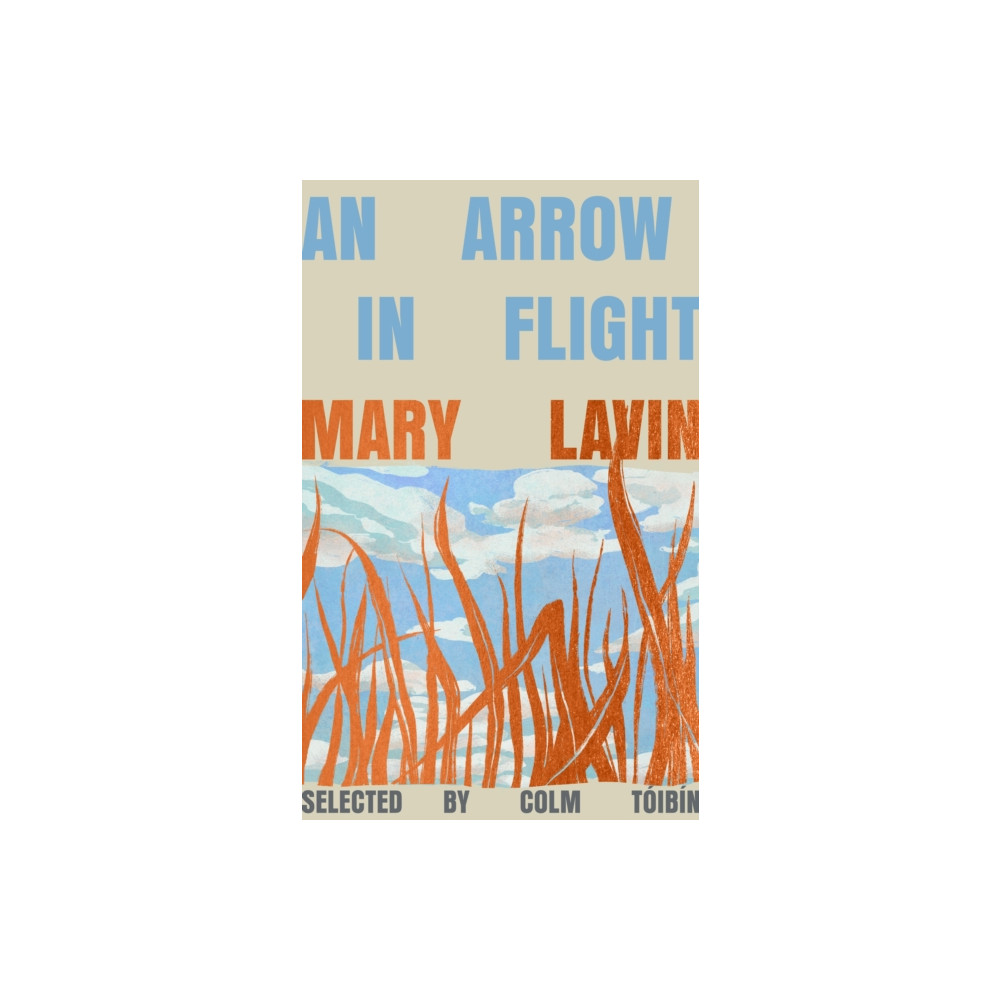 Produktbild för An Arrow in Flight (inbunden, eng)