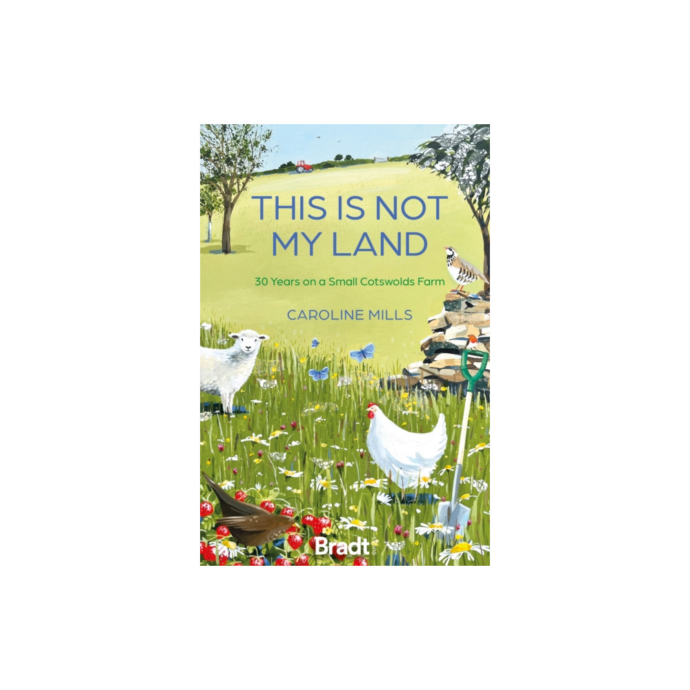 Produktbild för This is not my land (häftad, eng)