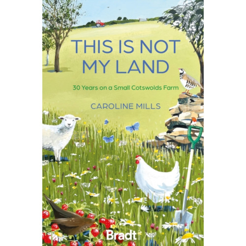 Bradt Travel Guides This is not my land (häftad, eng)