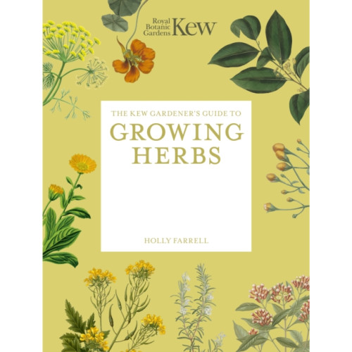 Quarto Publishing Plc The Kew Gardener's Guide to Growing Herbs (häftad, eng)