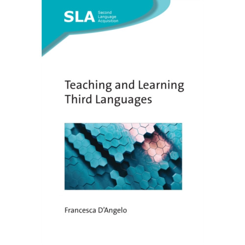 Channel View Publications Ltd Teaching and Learning Third Languages (häftad, eng)