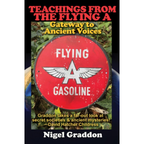 Adventures Unlimited Press Teachings from the Flying a (häftad, eng)
