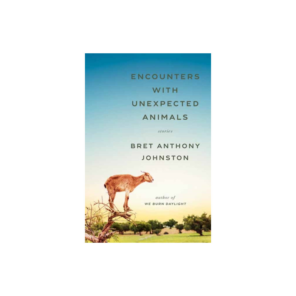 Produktbild för Encounters with Unexpected Animals (inbunden, eng)