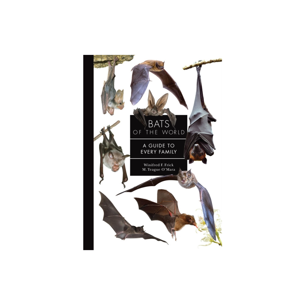 Produktbild för Bats of the World (inbunden, eng)