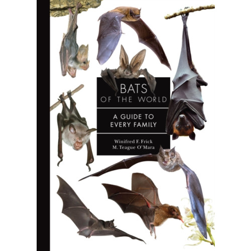 Princeton University Press Bats of the World (inbunden, eng)