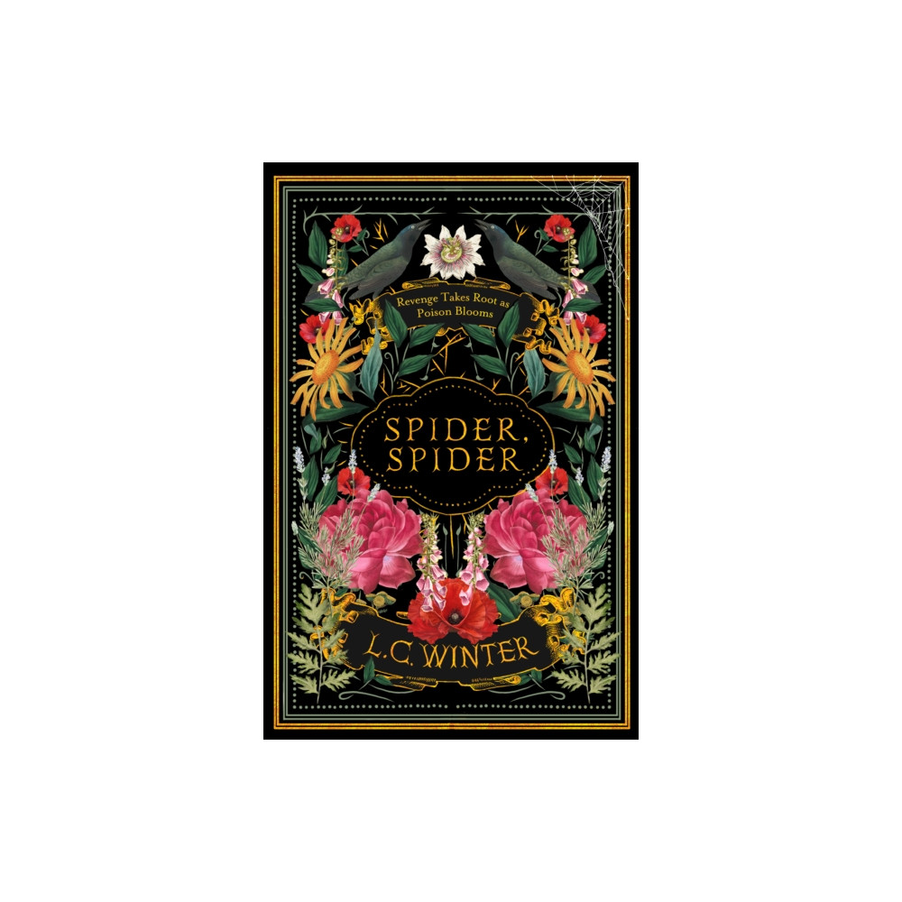 Produktbild för Spider, Spider (inbunden, eng)