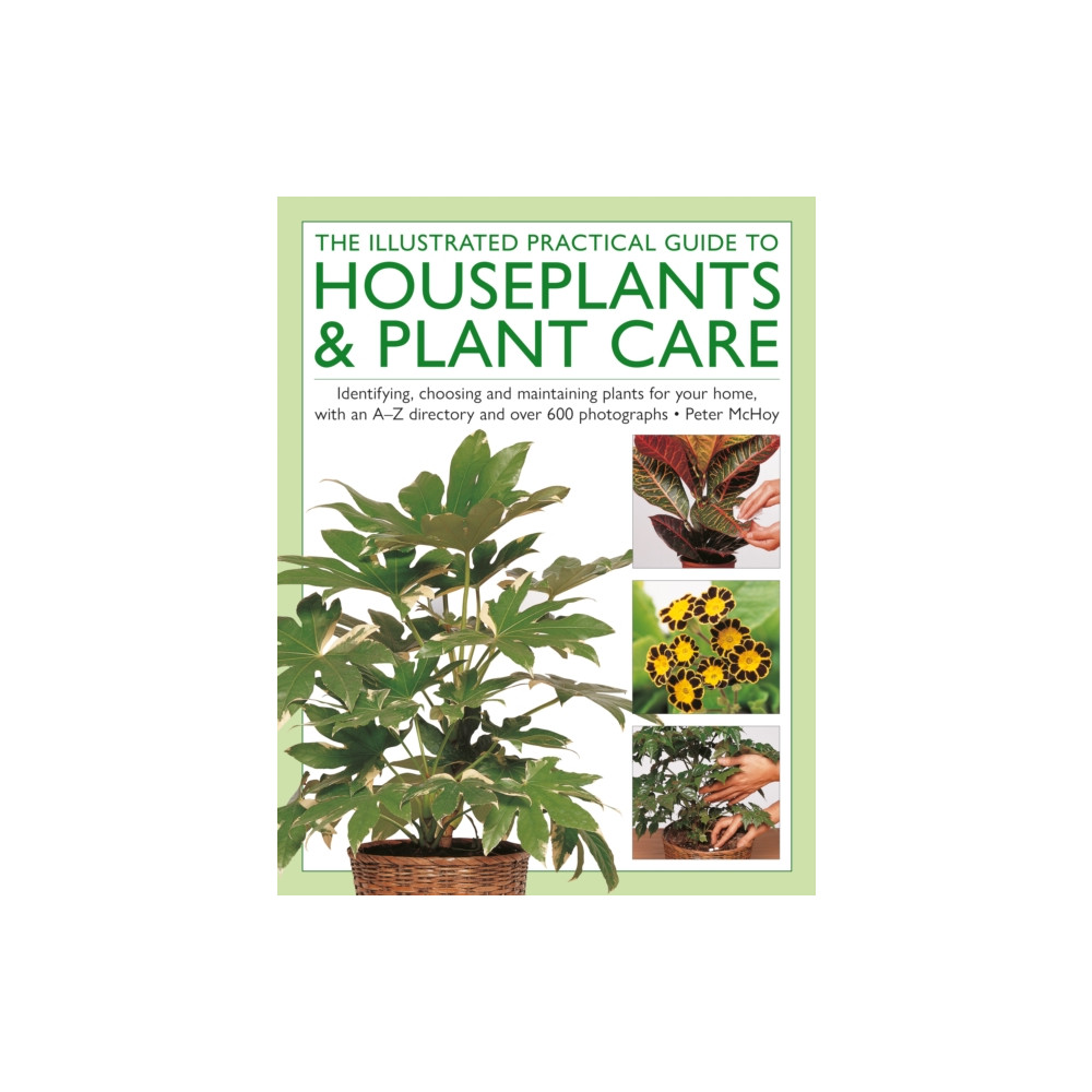 Produktbild för The Illustrated Practical Guide to Houseplants & Plant Care (inbunden, eng)