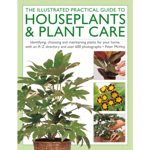 Anness publishing The Illustrated Practical Guide to Houseplants & Plant Care (inbunden, eng)