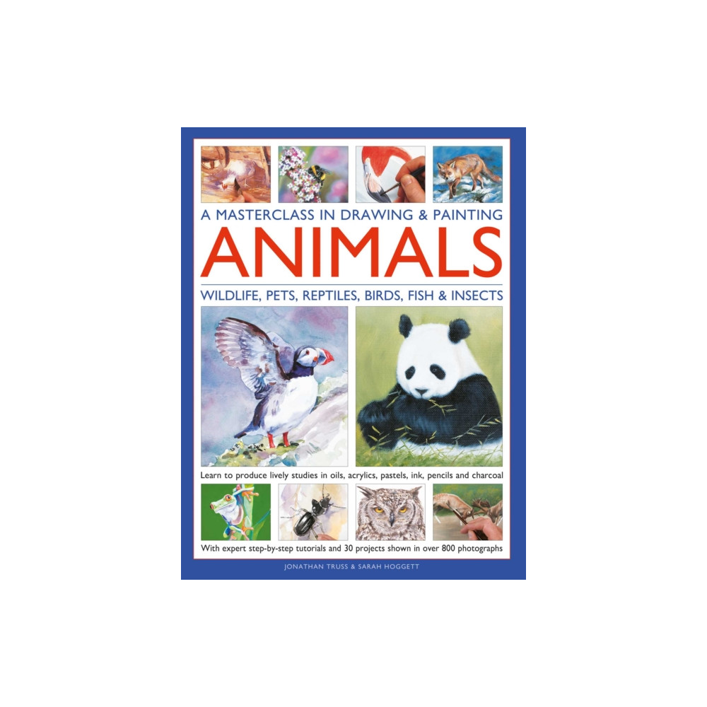 Produktbild för A Masterclass in Drawing & Painting Animals (Wildlife, Pets, Reptiles, Birds, Fish & Insects) (inbunden, eng)