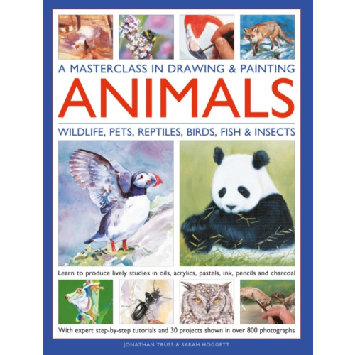 Anness publishing A Masterclass in Drawing & Painting Animals (Wildlife, Pets, Reptiles, Birds, Fish & Insects) (inbunden, eng)