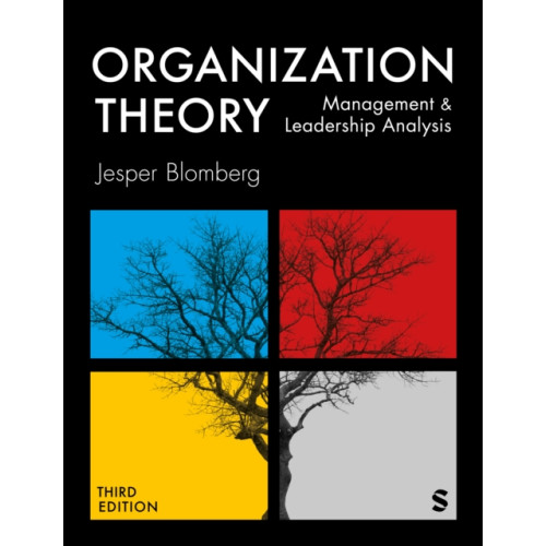 Sage Publications Ltd Organization Theory (häftad, eng)